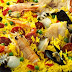 Spanish-Style Paella Recipe #FoodRecipesMall