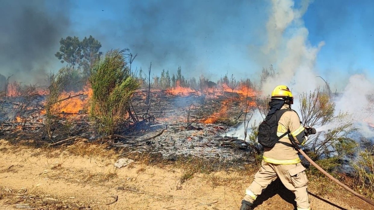 Helicóptero se desplomó en Chile y mueren sus dos tripulantes