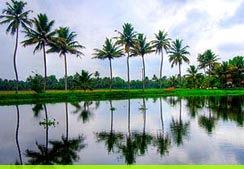 Kerala Tour Packages