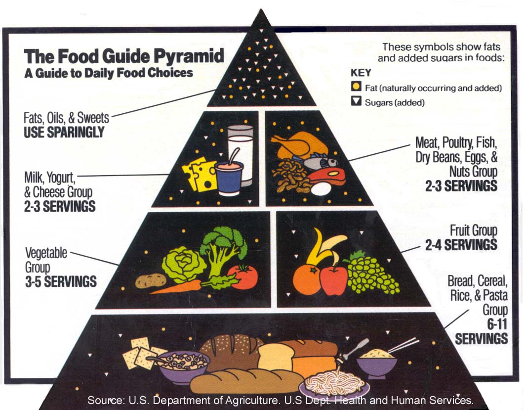 Food guide Pyramid