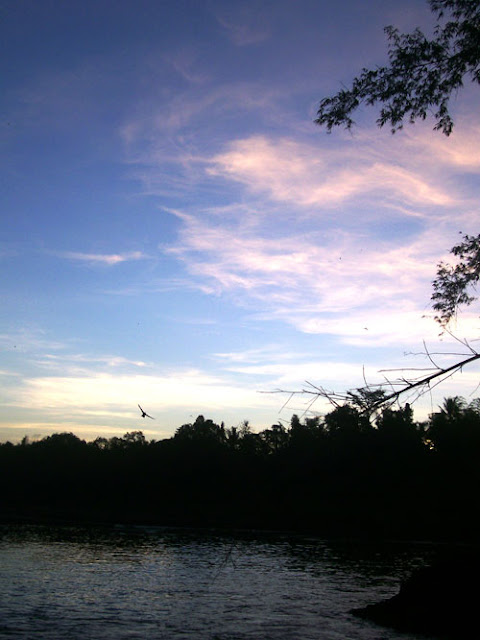 eagle-flies-over-river-dusk
