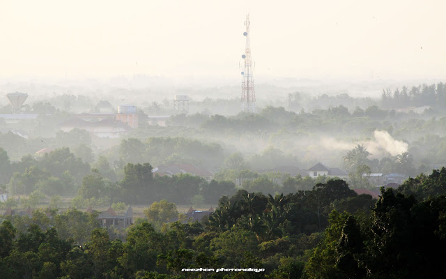 misty view on hill