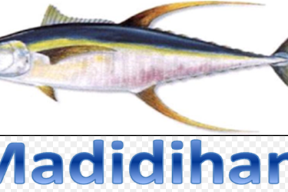 IKAN MANDIDIHANG