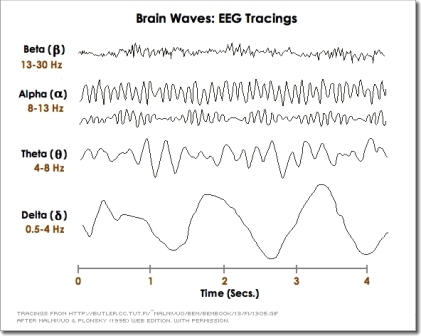 Brain Waves7