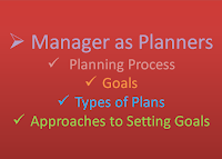 The Role of Manager in an Organization Planning and Decision Making Process