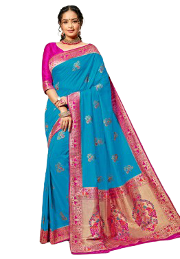 Women party wear saree png image