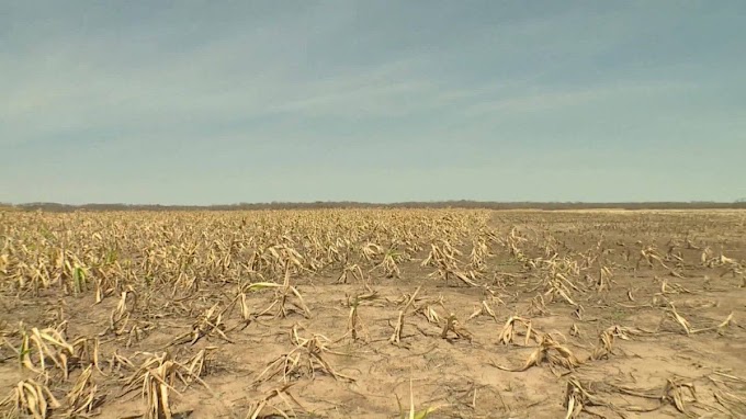 Mundo/ Severa sequía golpea a Bolivia