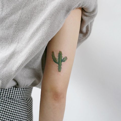 Tatuagens de cactos para as meninas