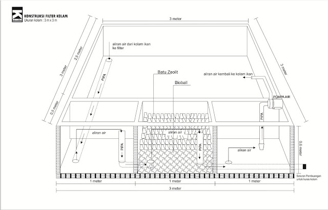 Pembuatan Filter Kolam Ikan agar Air Tetap Jernih 
