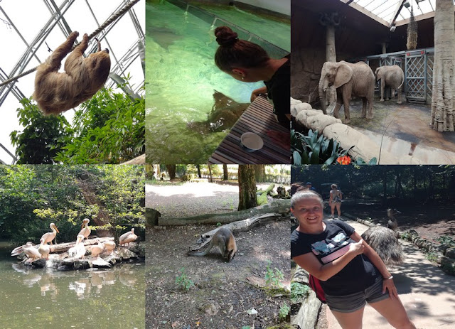 Zoo Zlín lenochod slon rejnok klokan Emu 