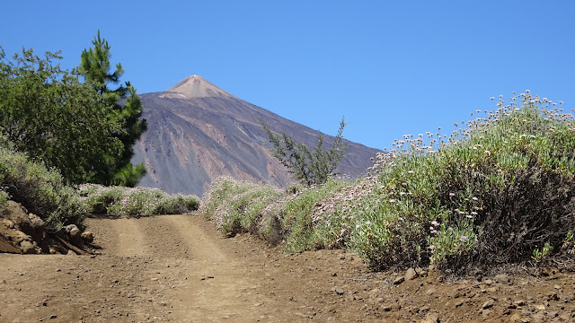 Tenerife, Teide, Las Cañadas