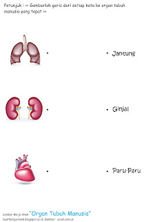 Lembar kerja anak bertema organ tubuh manusia Lembar Kerja Anak Bertema Organ Tubuh Manusia