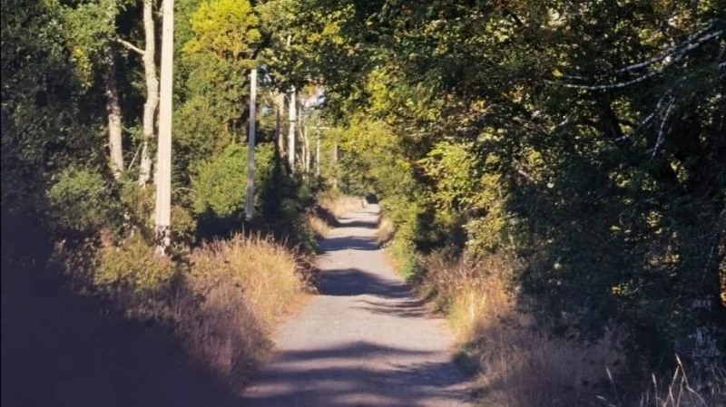 Caminos Rurales