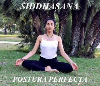 dale yoga padmasana postura del loto alejandra porcu