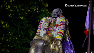 Yaanai Vahanam,Ippasi,purappadu,Thiruvallikeni, Thirumoolam,Sri Parthasarathy Perumal,Manavala Maamunigal,Varavaramuni, Temple, 2017, Video, Divya Prabhandam,Utsavam,