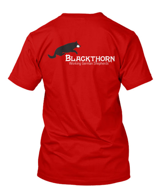 Blackthorn logo on a t-shirt