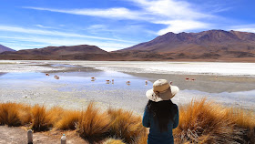 Pink and White Flamingos at Laguna Hedionda, Uyuni Tour, Bolivia