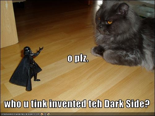 funny cat picture - funny cat pictures-lolcat-invented-dark-side
