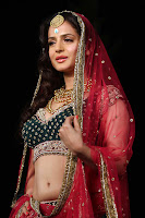 Bollywood and Tollywood acress Amisha, Patel, bridal look, hot sexy, wedding, reception, green choli and lehenga