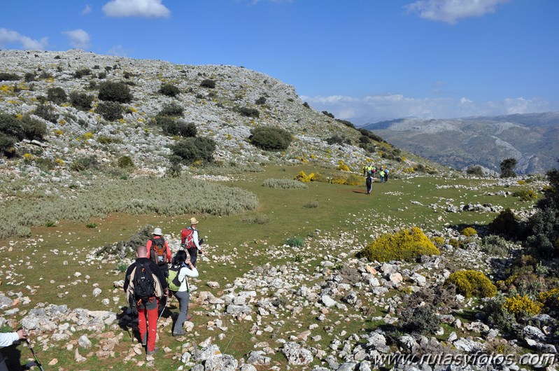 Cortes de la Frontera - Llanos de Libar - Benaojan