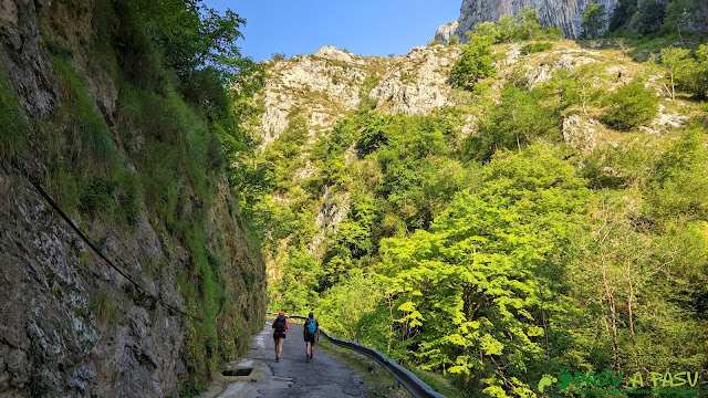 Carretera a Víboli, Ponga