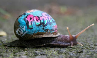 Snails image