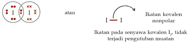  Pernahkah Anda melihat air dengan minyak tidak bercampur satu sama lain Pintar Pelajaran Contoh Ikatan Kovalen Polar dan Non Polar, Proses Pembentukan, Pengertian, Soal, Kunci Jawaban, Kepolaran Senyawa, Unsur Kimia