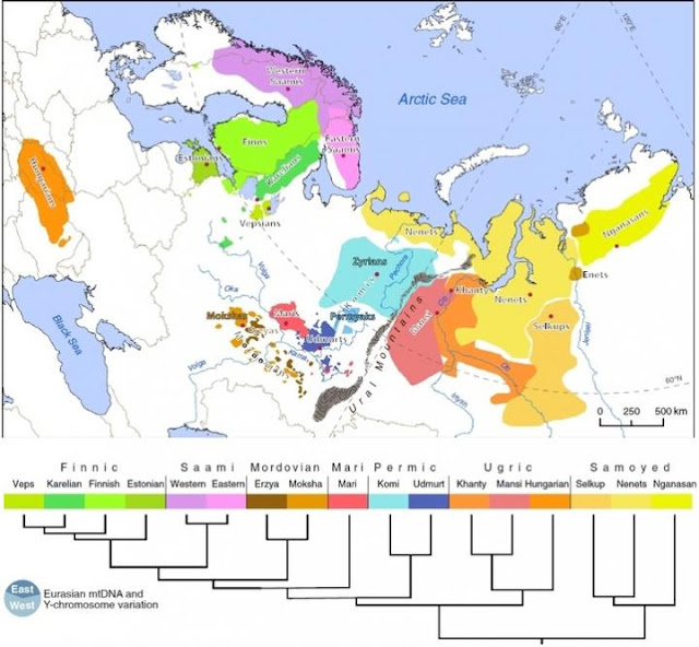  The genetic variety of peoples of the Ural linguistic communication identify unit of measurement living inwards Europe as well as Siberia For You Information - Scientists constitute mutual genes inwards dissimilar peoples of the Ural linguistic communication family
