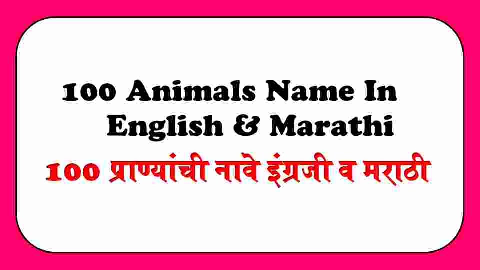 100 Animals Name In English And Marathi.१०० प्राण्यांची नावे इंग्रजी व  मराठी.