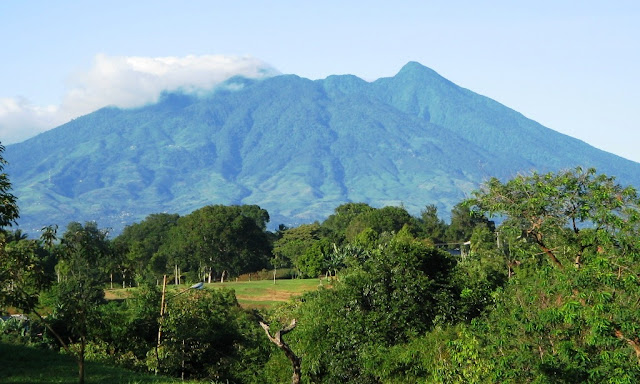 Taman Nasional Gunung Palung 