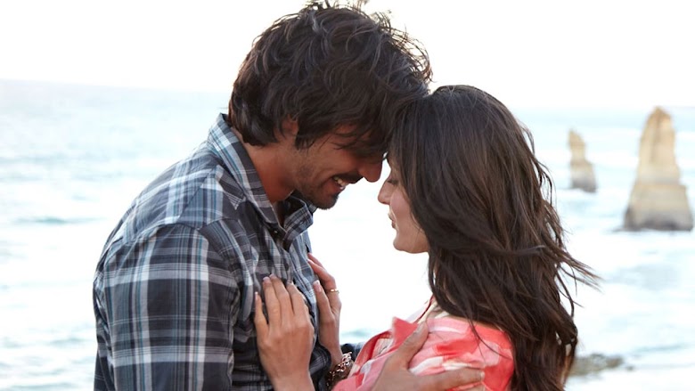 वी आर फैमिली 2010 descargar gratis pelicula
