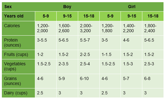 Daily dietary guideline for boys and girls