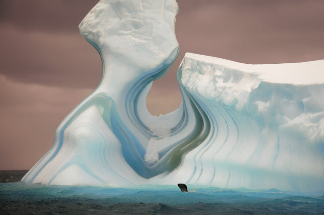 exposición-anual-fotografía-antártica-fotos-ganadoras-2018