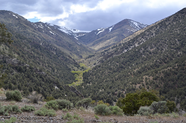 Ophir Canyon