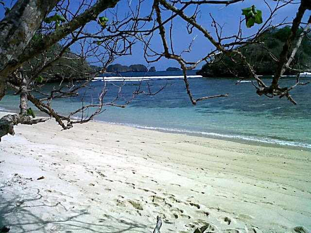 Pantai Teluk Asmoro Malang