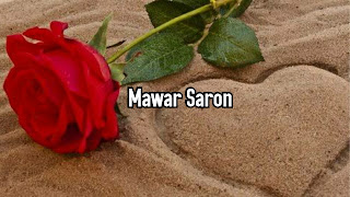 Mawar Saron