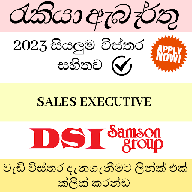  DSI Samson Group/SALES EXECUTIVE