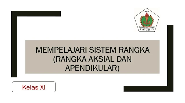 sistem gerak biologi kelas xi