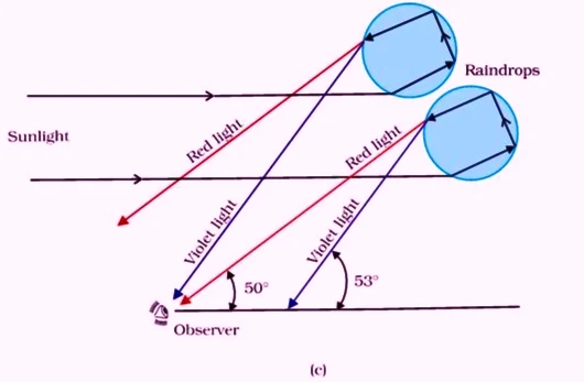 When sunlight enters a raindrop, it is refracted along its path, causing different wavelengths of white light.