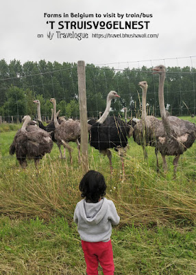 Kinderboerderij Ferme Pédagogique Brussels Belgium