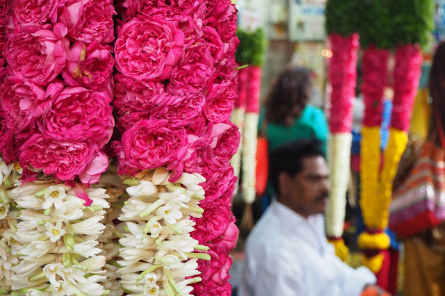 Visiter l'inde du Sud - Tamil Nadu et Kerala