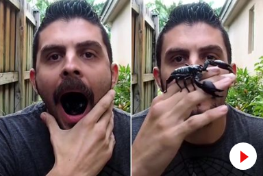 frightening moment big SCORPION casually crawls out of man's mouth in tense pictures