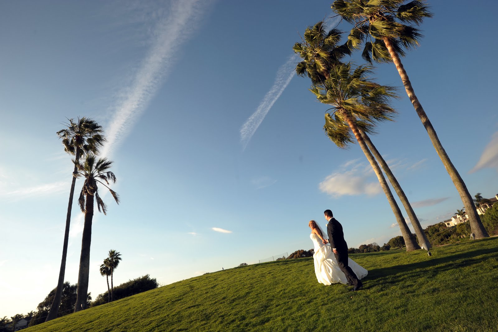 beach wedding color schemes