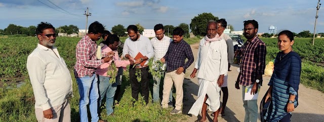 పంట క్షేత్రాలను పరిశీలించిన శాస్త్రవేత్తలు