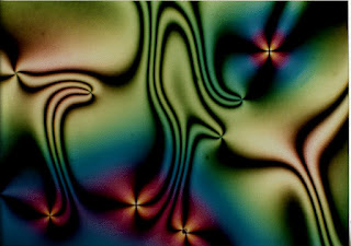 Microphotograph | Oleg D. Laventovich, Liquid Crystal Institute, Kent State University