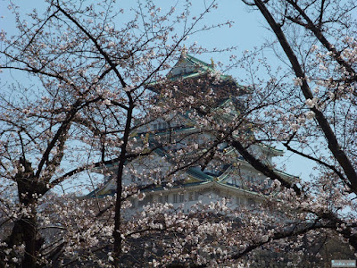 大阪城と桜