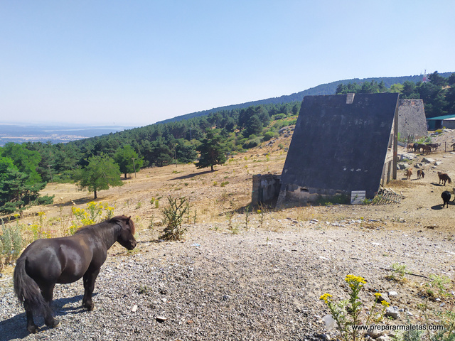 senderismo Guadarrama Alto del León