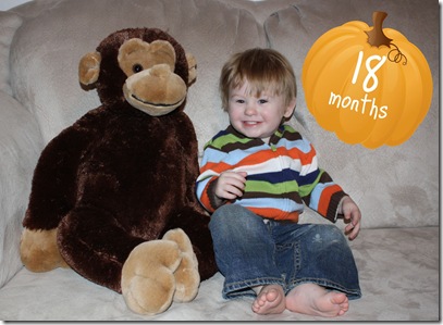 18 months