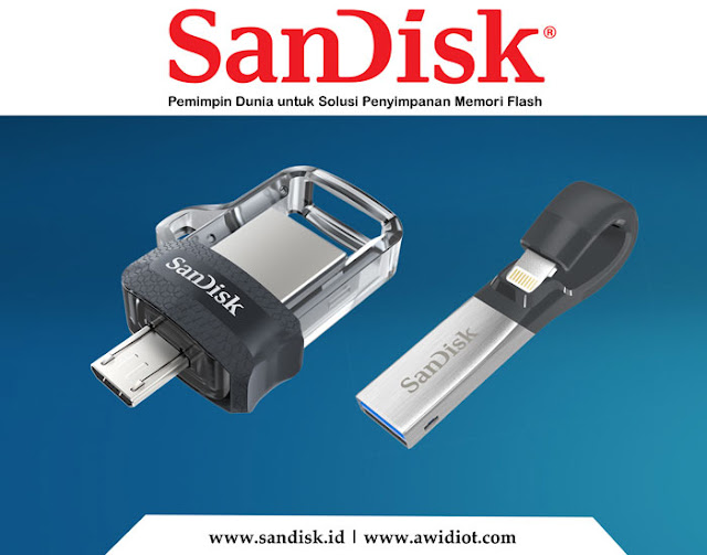 USB OTG SanDisk