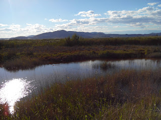 marjal dels moros